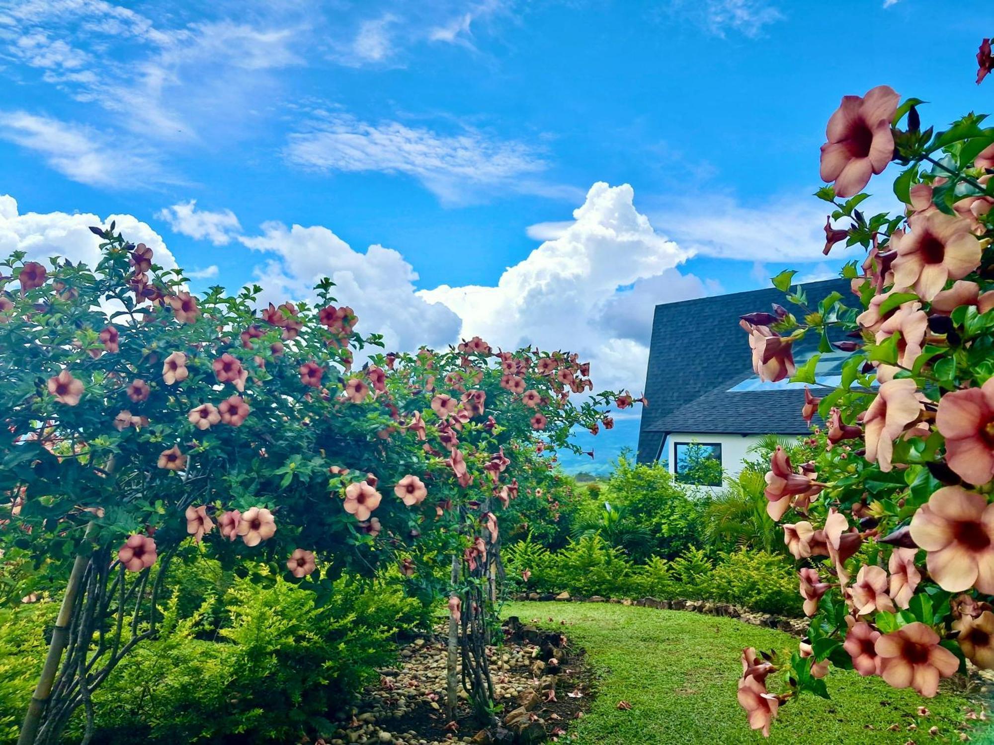 El Resort De Yanashpa - Tarapoto Εξωτερικό φωτογραφία
